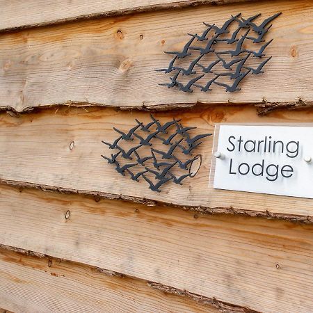 Starling Lodge Wedmore المظهر الخارجي الصورة